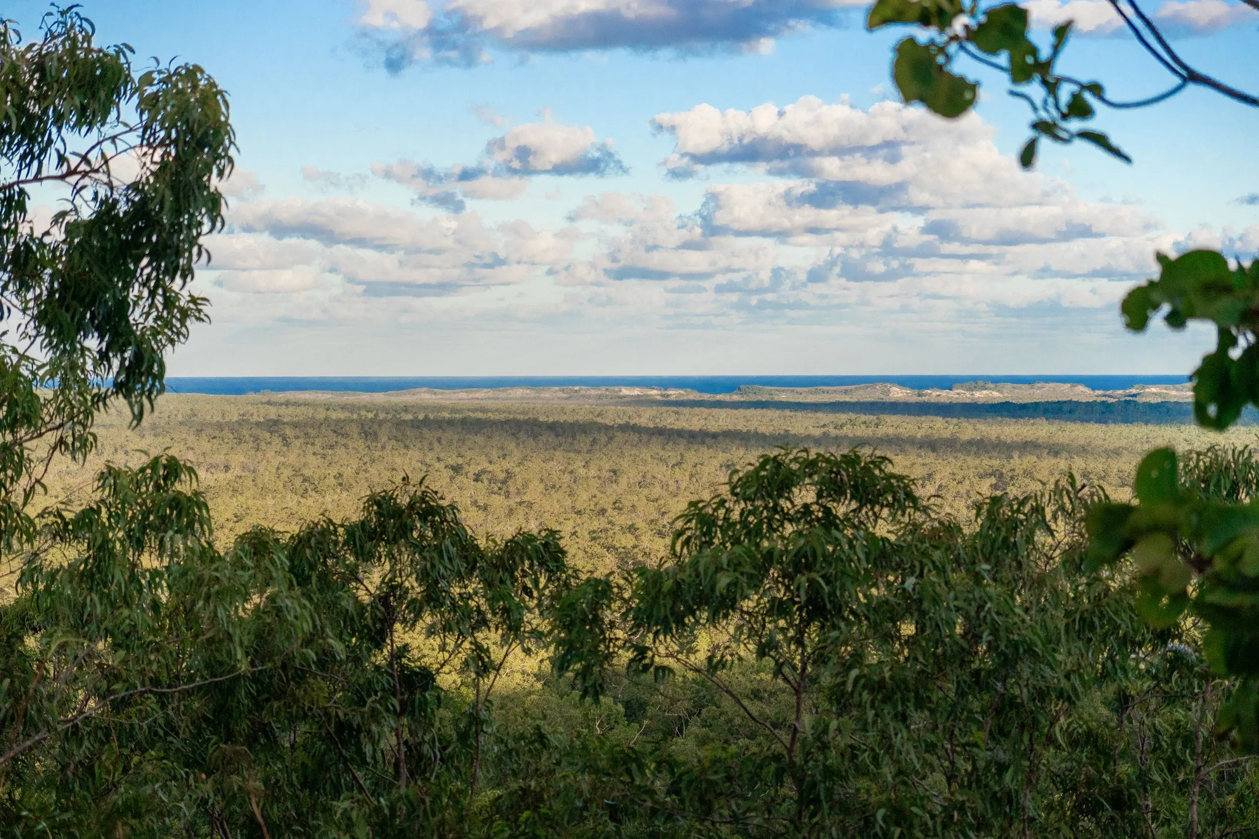 Lookout view over unbroken bushland to the sea on the horizon