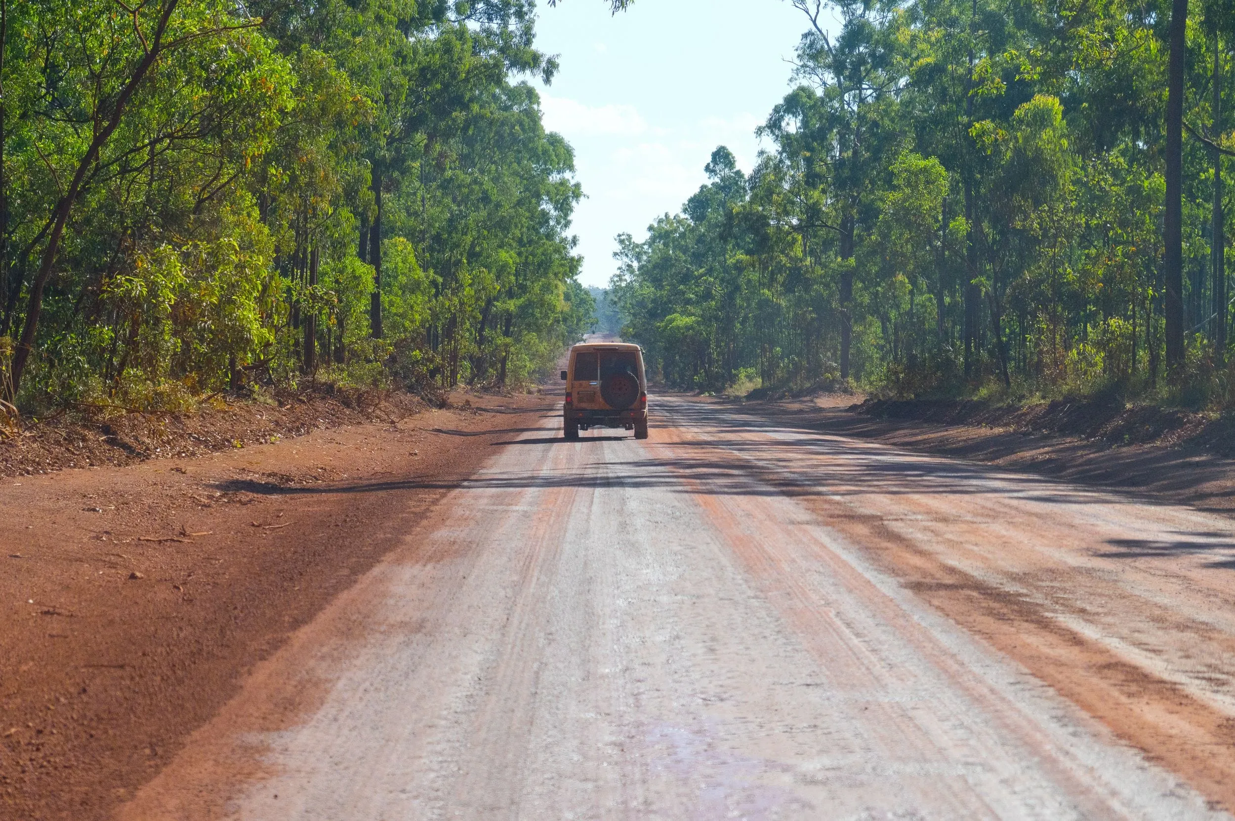 A troopy kicks up dust down a long red-dirt road through the trees