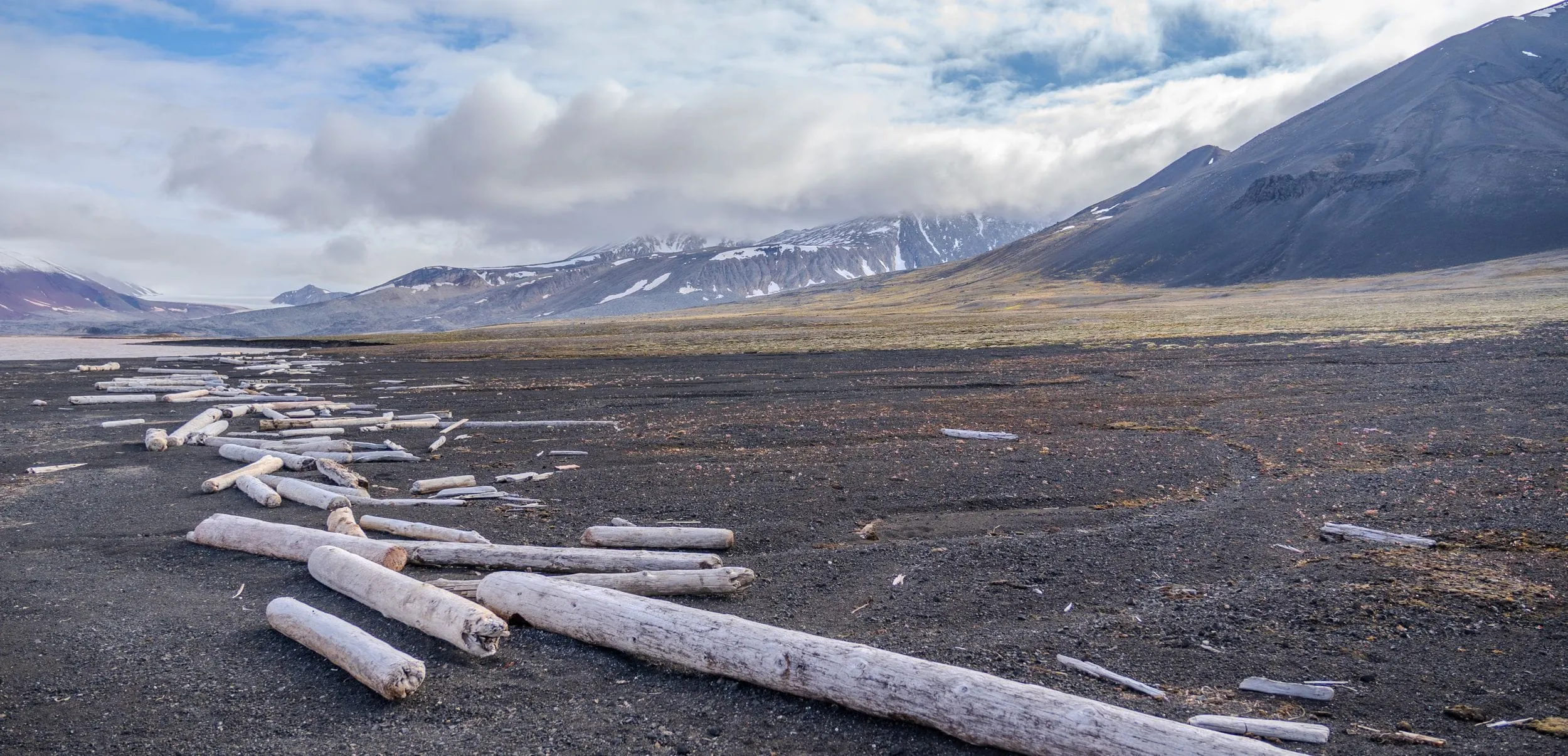 Bleached driftwood logs scattered along a black-sand shoreline, Svalbard